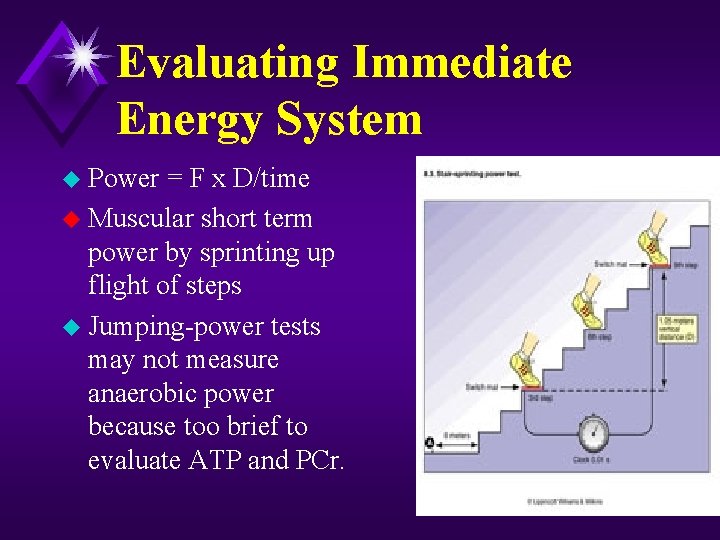 Evaluating Immediate Energy System u Power = F x D/time u Muscular short term