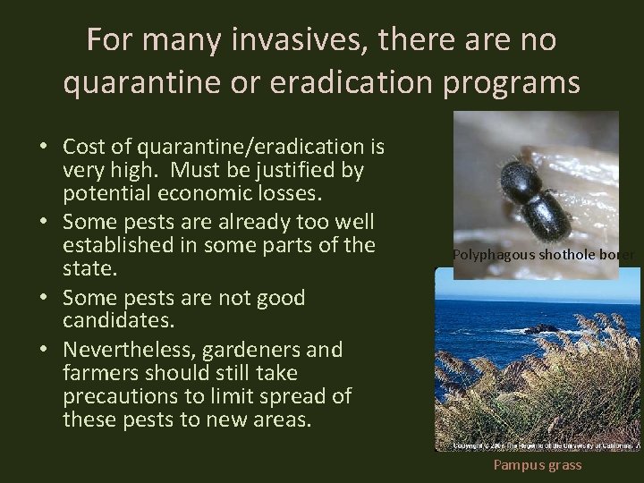 For many invasives, there are no quarantine or eradication programs • Cost of quarantine/eradication