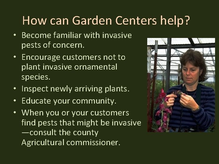 How can Garden Centers help? • Become familiar with invasive pests of concern. •