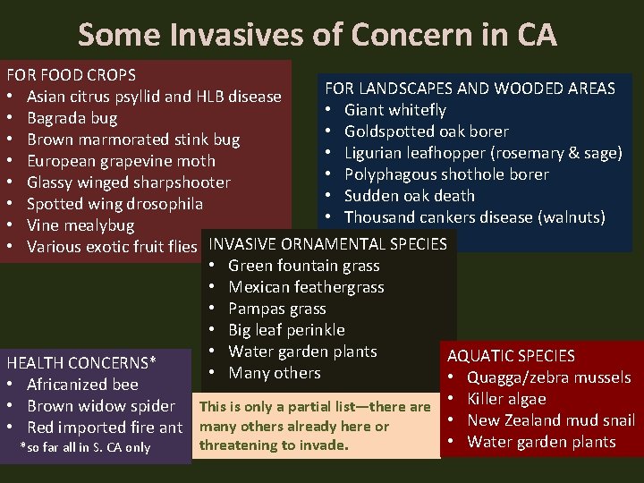 Some Invasives of Concern in CA FOR FOOD CROPS FOR LANDSCAPES AND WOODED AREAS