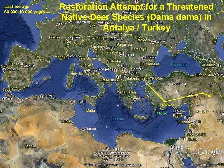 Last ice age 60 000 -10 000 years Restoration Attempt for a Threatened Native