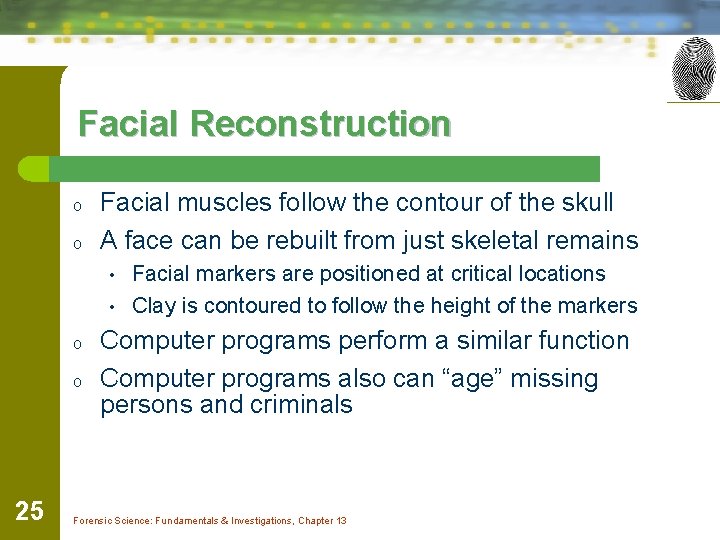 Facial Reconstruction o o Facial muscles follow the contour of the skull A face
