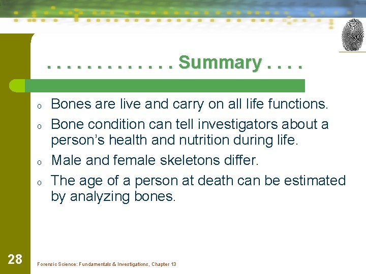 . . . Summary. . o o 28 Bones are live and carry on