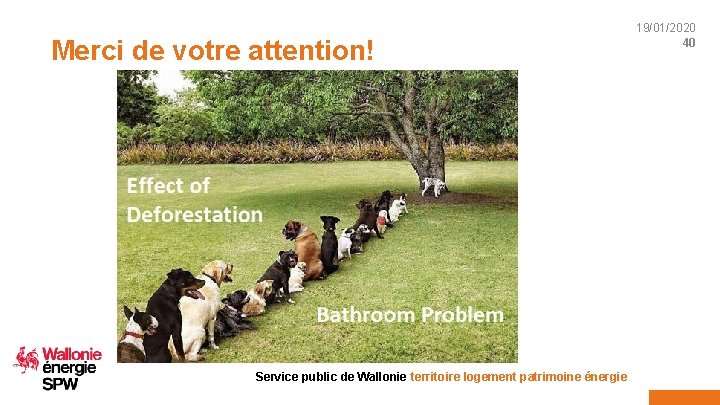 19/01/2020 40 Merci de votre attention! PY ape. be Service public de Wallonie territoire