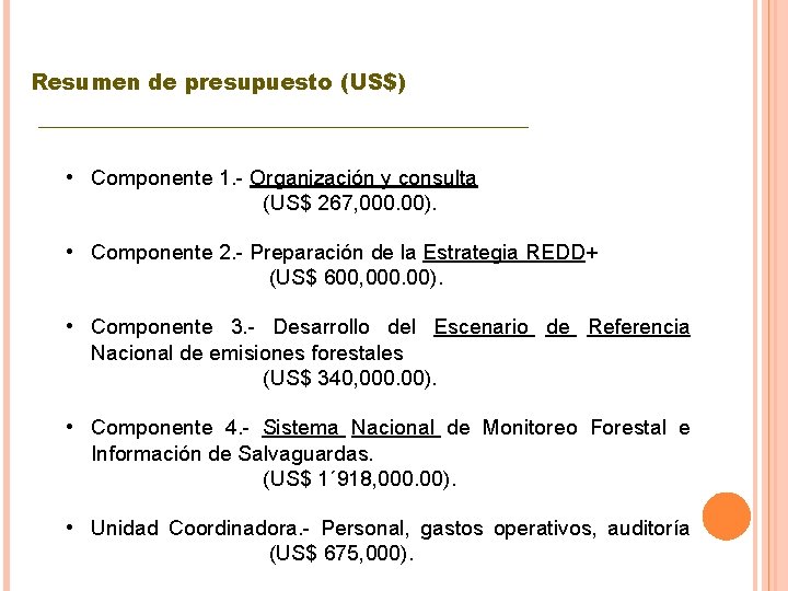 Resumen de presupuesto (US$) ________________ • Componente 1. - Organización y consulta (US$ 267,