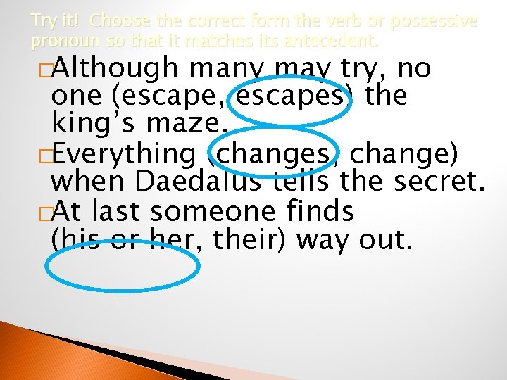Try it! Choose the correct form the verb or possessive pronoun so that it
