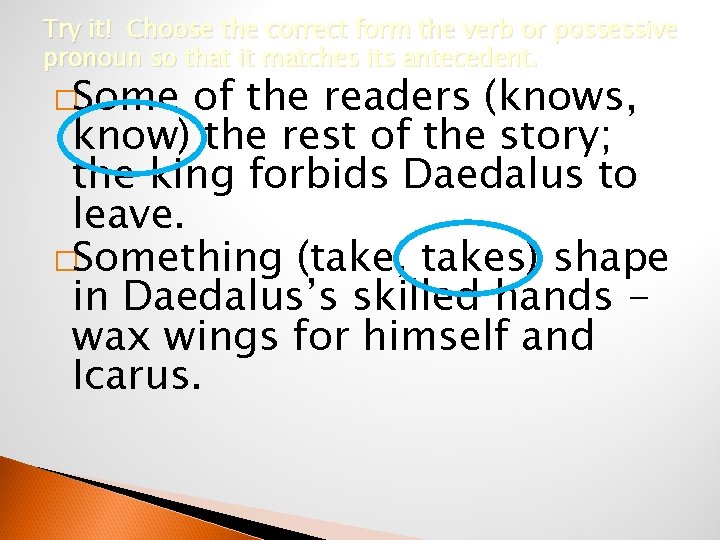 Try it! Choose the correct form the verb or possessive pronoun so that it