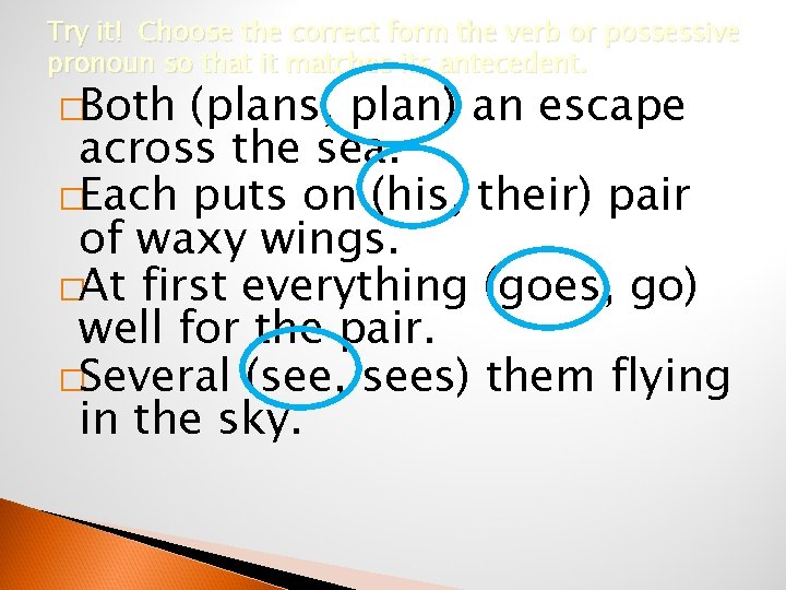 Try it! Choose the correct form the verb or possessive pronoun so that it