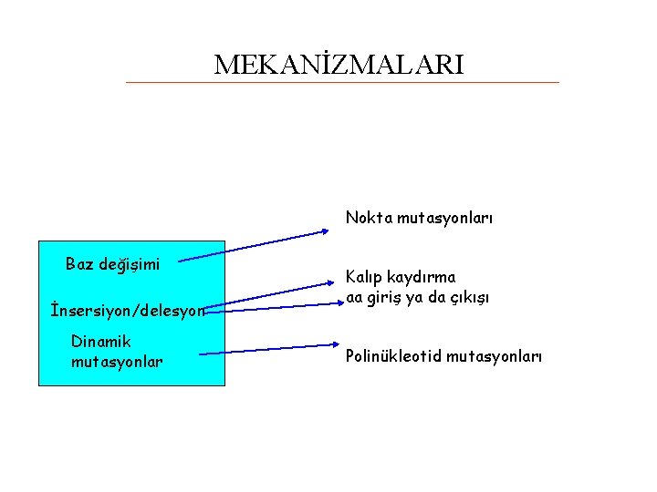 MEKANİZMALARI Nokta mutasyonları Baz değişimi İnsersiyon/delesyon Dinamik mutasyonlar Kalıp kaydırma aa giriş ya da