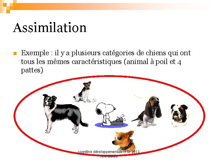 Assimilation n Exemple : il y a plusieurs catégories de chiens qui ont tous