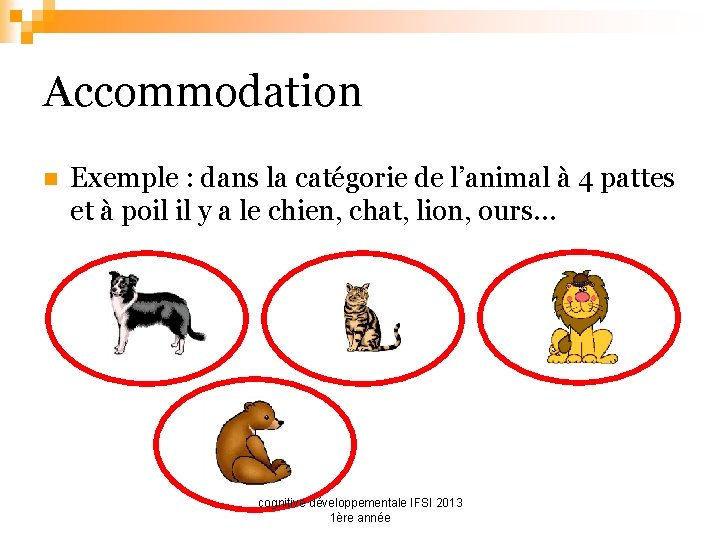 Accommodation n Exemple : dans la catégorie de l’animal à 4 pattes et à