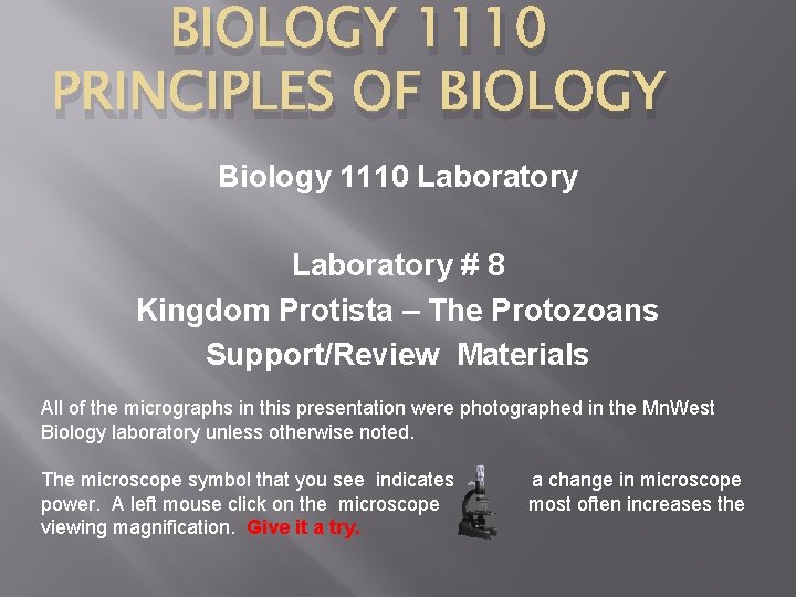 BIOLOGY 1110 PRINCIPLES OF BIOLOGY Biology 1110 Laboratory # 8 Kingdom Protista – The