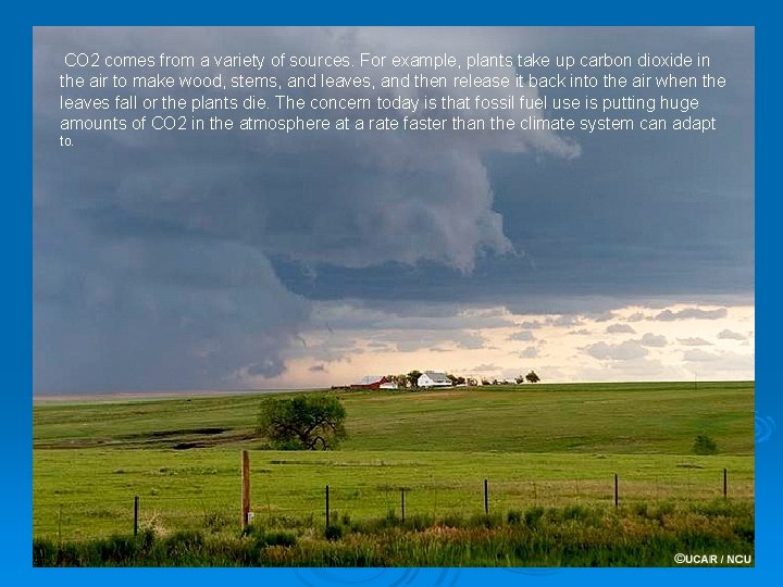 CO 2 comes from a variety of sources. For example, plants take up carbon CO 2 comes from a variety of sources. For example, plants take up carbon