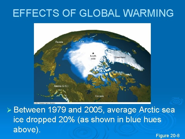 EFFECTS OF GLOBAL WARMING Ø Between 1979 and 2005, average Arctic sea ice dropped EFFECTS OF GLOBAL WARMING Ø Between 1979 and 2005, average Arctic sea ice dropped