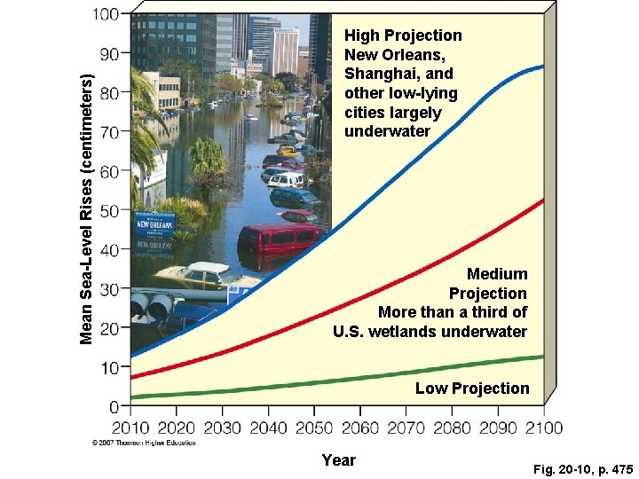 Mean Sea-Level Rises (centimeters) High Projection New Orleans, Shanghai, and other low-lying cities largely Mean Sea-Level Rises (centimeters) High Projection New Orleans, Shanghai, and other low-lying cities largely