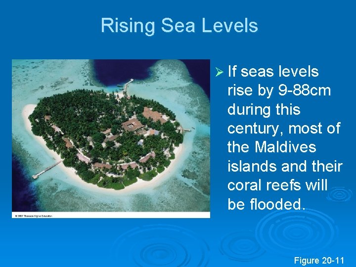 Rising Sea Levels Ø If seas levels rise by 9 -88 cm during this Rising Sea Levels Ø If seas levels rise by 9 -88 cm during this