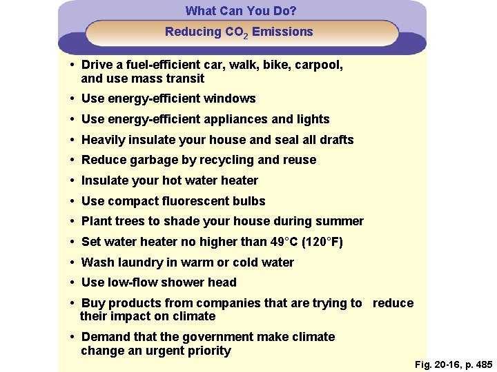 What Can You Do? Reducing CO 2 Emissions • Drive a fuel-efficient car, walk, What Can You Do? Reducing CO 2 Emissions • Drive a fuel-efficient car, walk,