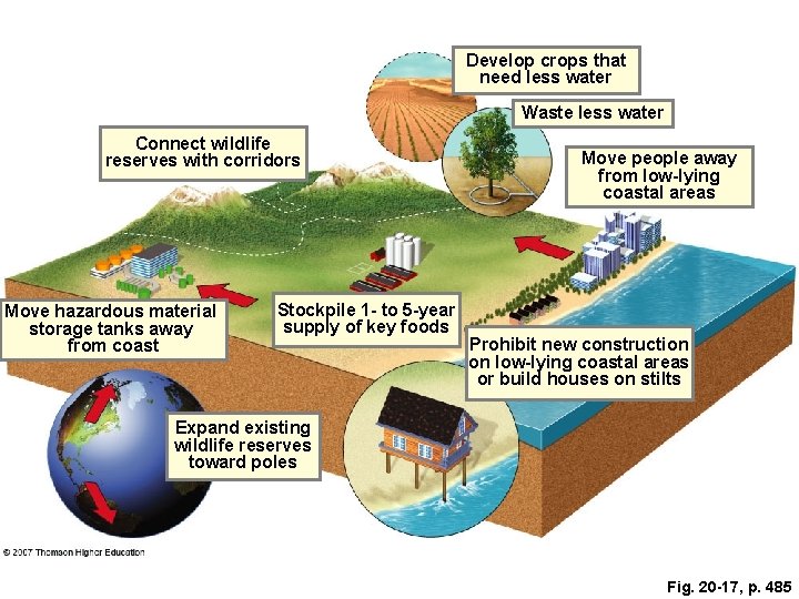 Develop crops that need less water Waste less water Connect wildlife reserves with corridors Develop crops that need less water Waste less water Connect wildlife reserves with corridors