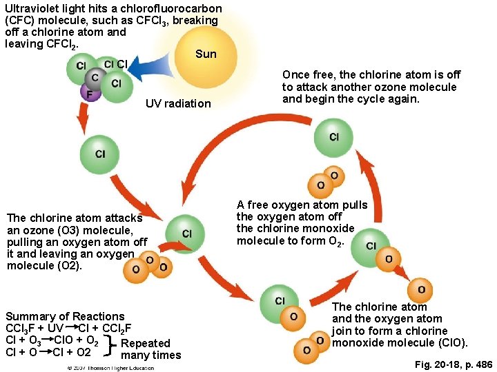 Ultraviolet light hits a chlorofluorocarbon (CFC) molecule, such as CFCl 3, breaking off a Ultraviolet light hits a chlorofluorocarbon (CFC) molecule, such as CFCl 3, breaking off a