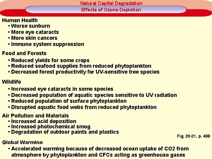 Natural Capital Degradation Effects of Ozone Depletion Human Health • Worse sunburn • More Natural Capital Degradation Effects of Ozone Depletion Human Health • Worse sunburn • More