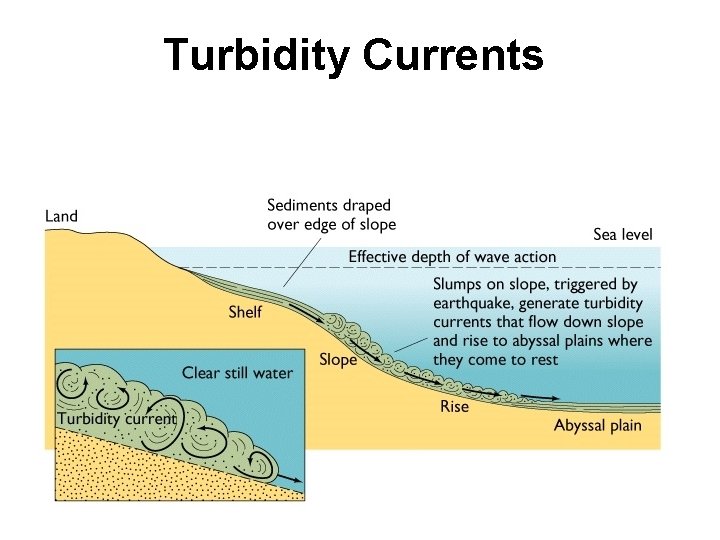 Turbidity Currents 