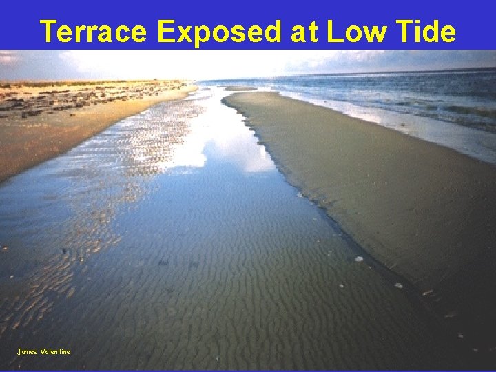 Terrace Exposed at Low Tide James Valentine 