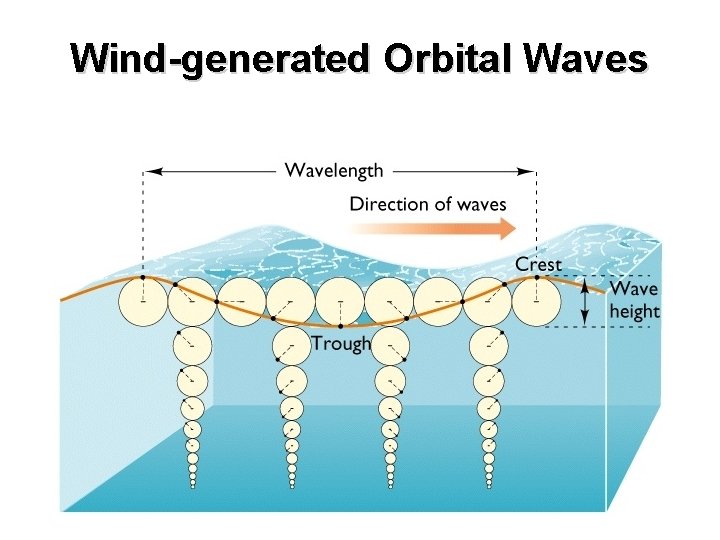 Wind-generated Orbital Waves 