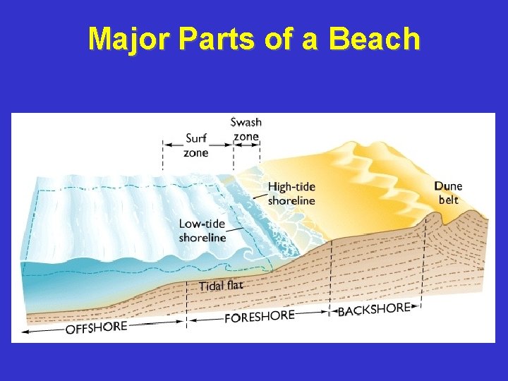 Major Parts of a Beach 