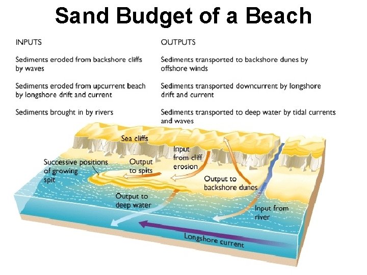 Sand Budget of a Beach 