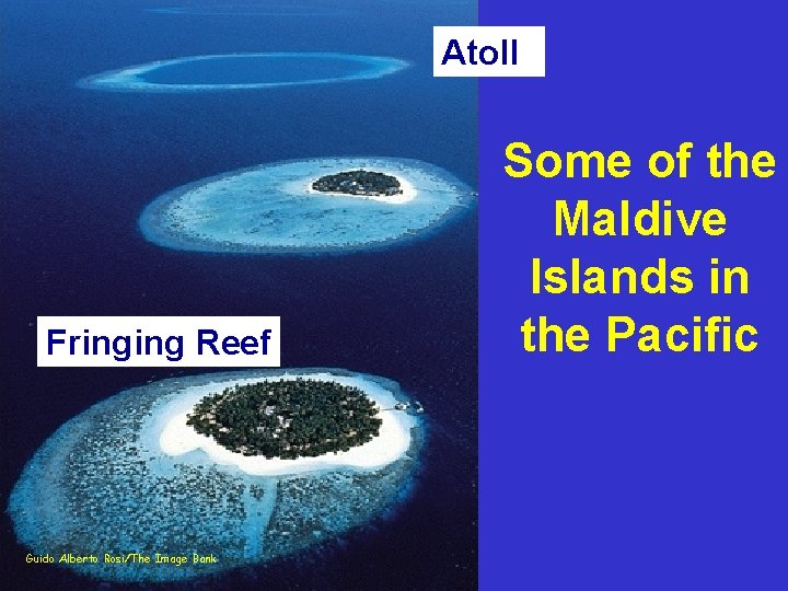 Atoll Fringing Reef Guido Alberto Rosi/The Image Bank Some of the Maldive Islands in