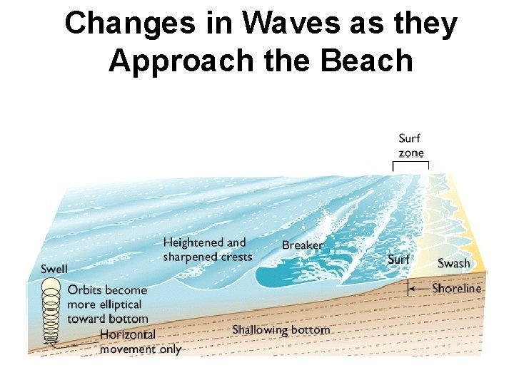 Changes in Waves as they Approach the Beach 