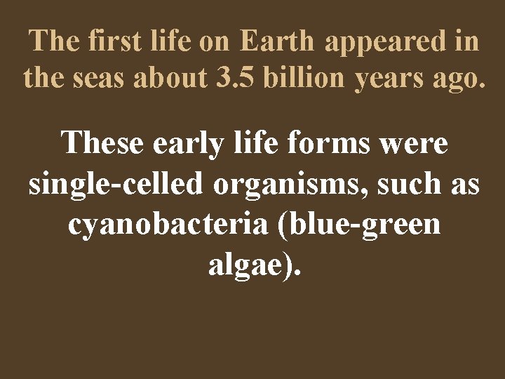 The first life on Earth appeared in the seas about 3. 5 billion years