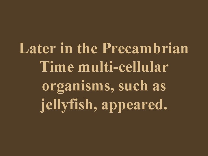 Later in the Precambrian Time multi-cellular organisms, such as jellyfish, appeared. 