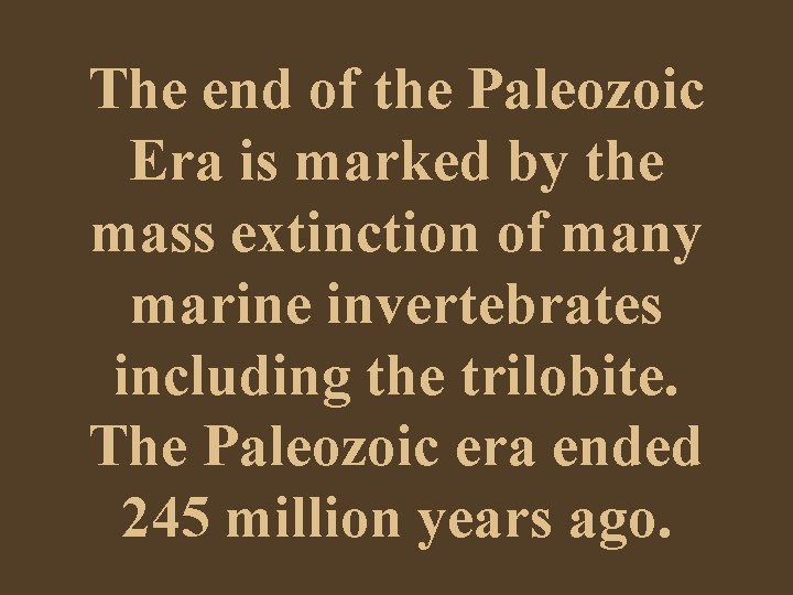 The end of the Paleozoic Era is marked by the mass extinction of many