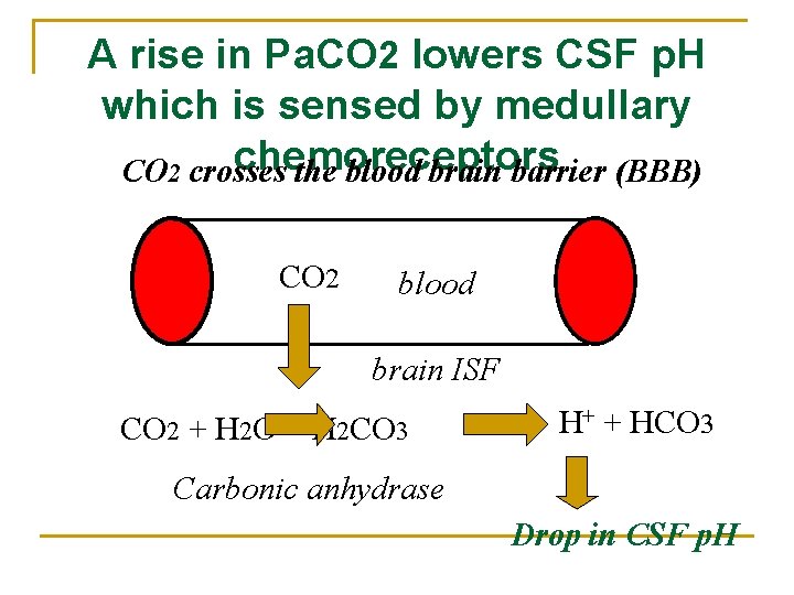 A rise in Pa. CO 2 lowers CSF p. H which is sensed by