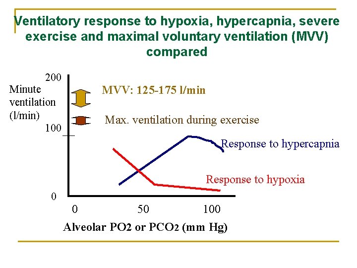 Ventilatory response to hypoxia, hypercapnia, severe exercise and maximal voluntary ventilation (MVV) compared 200