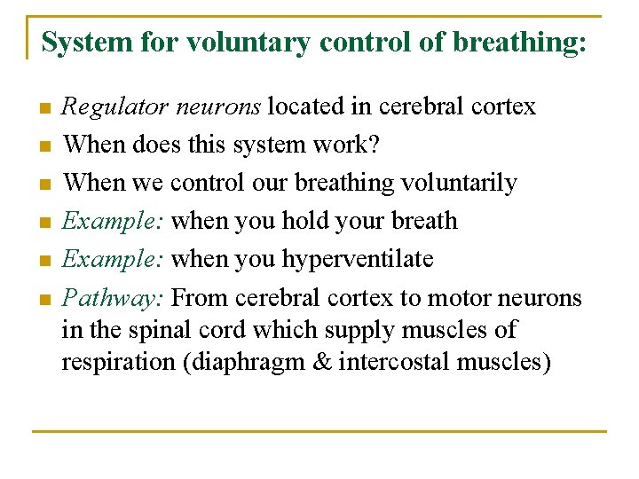 System for voluntary control of breathing: n n n Regulator neurons located in cerebral