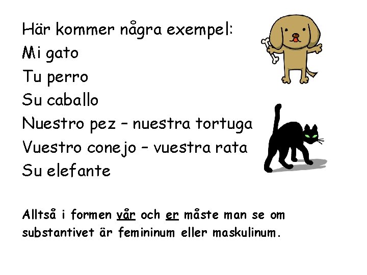 Här kommer några exempel: Mi gato Tu perro Su caballo Nuestro pez – nuestra