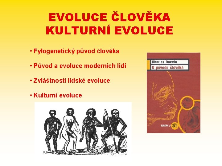 EVOLUCE ČLOVĚKA KULTURNÍ EVOLUCE • Fylogenetický původ člověka • Původ a evoluce moderních lidí