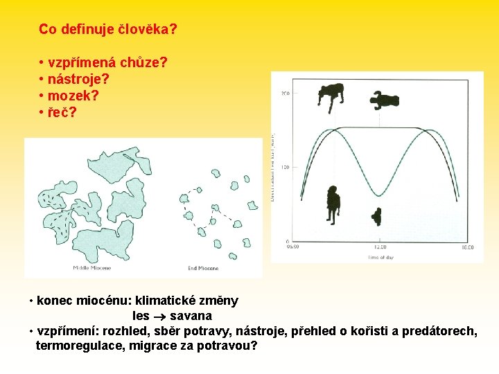 Co definuje člověka? • vzpřímená chůze? • nástroje? • mozek? • řeč? • konec