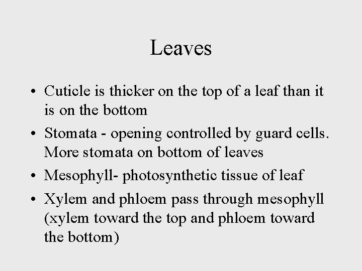 Leaves • Cuticle is thicker on the top of a leaf than it is