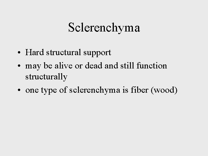 Sclerenchyma • Hard structural support • may be alive or dead and still function