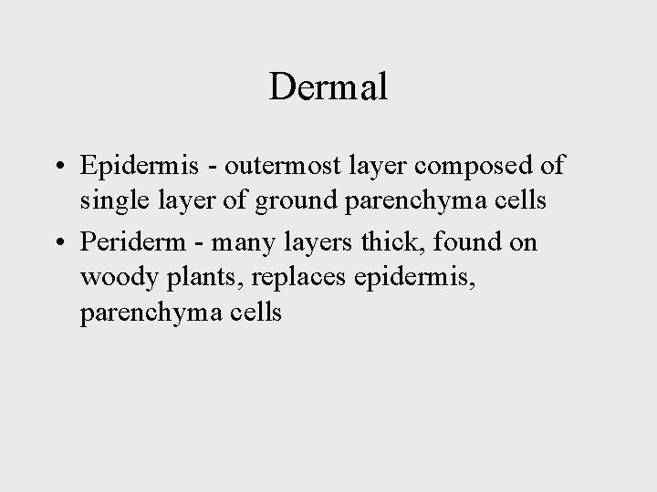 Dermal • Epidermis - outermost layer composed of single layer of ground parenchyma cells