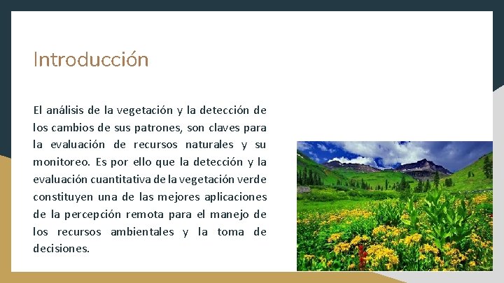 Introducción El análisis de la vegetación y la detección de los cambios de sus
