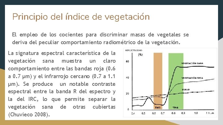 Principio del índice de vegetación El empleo de los cocientes para discriminar masas de