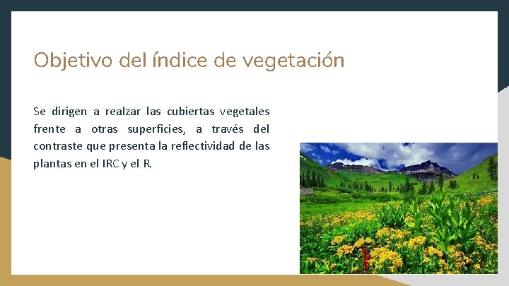 Objetivo del índice de vegetación Se dirigen a realzar las cubiertas vegetales frente a