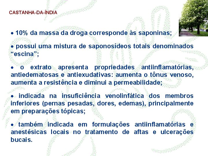 CASTANHA-DA-ÍNDIA · 10% da massa da droga corresponde às saponinas; · possui uma mistura