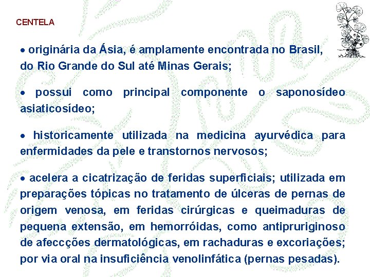 CENTELA · originária da Ásia, é amplamente encontrada no Brasil, do Rio Grande do