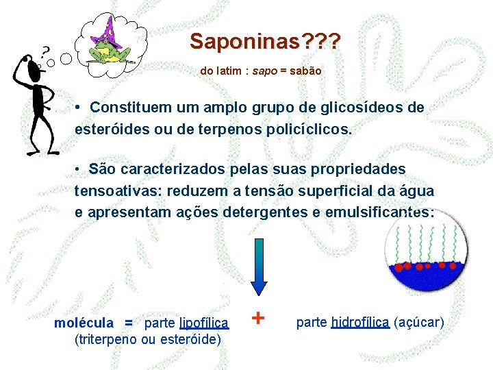 Saponinas? ? ? do latim : sapo = sabão • Constituem um amplo grupo