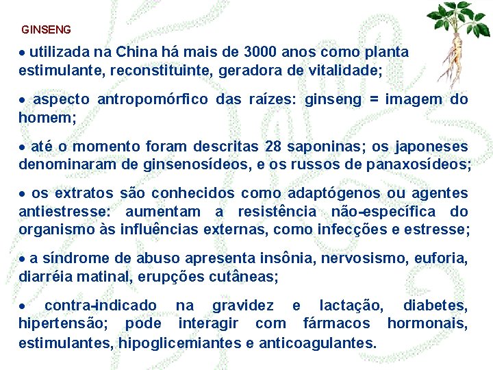 GINSENG · utilizada na China há mais de 3000 anos como planta estimulante, reconstituinte,